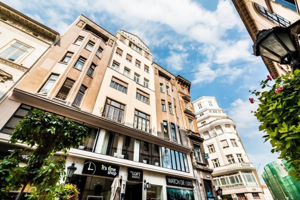 Best Located, 150 M2 5 Bedrooms Apt., ブダペスト エクステリア 写真