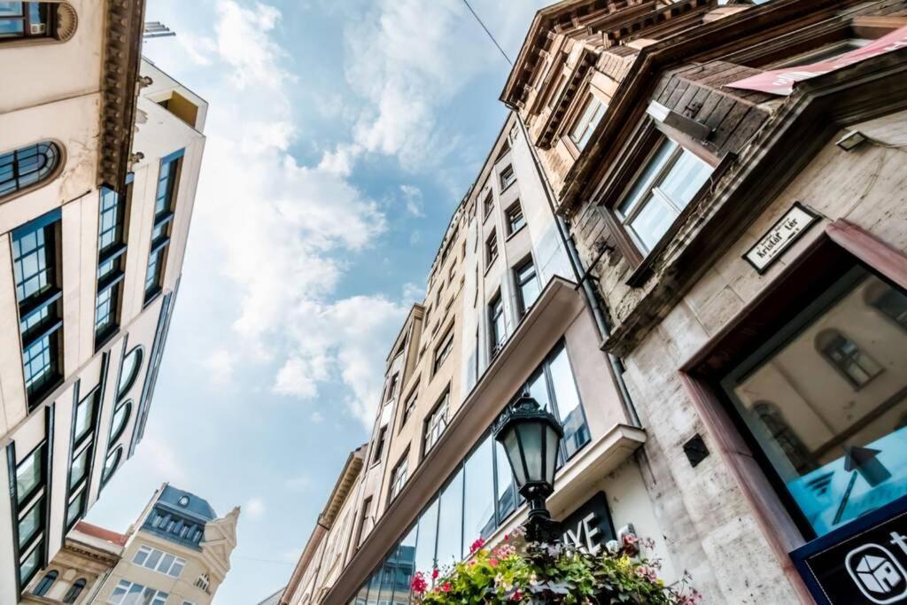 Best Located, 150 M2 5 Bedrooms Apt., ブダペスト エクステリア 写真