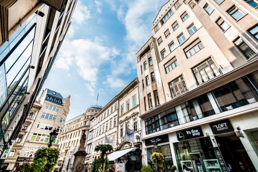 Best Located, 150 M2 5 Bedrooms Apt., ブダペスト エクステリア 写真