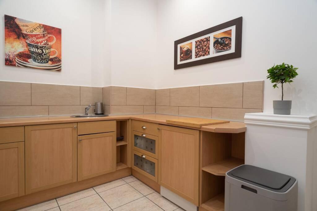 Best Located, 150 M2 5 Bedrooms Apt., ブダペスト エクステリア 写真
